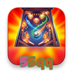 55qq